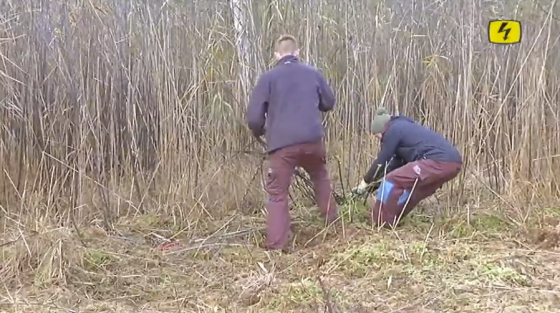 Verein Grünwerk - Auf Top Fokus vom 16.11.2015