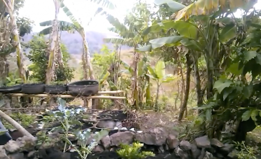 Service civil au Nicaragua